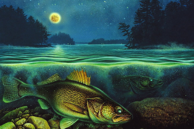 Gallery Wrapped Canvas LED Art Underwater Walleye Harvest Moon III -   Log Cabin Decor