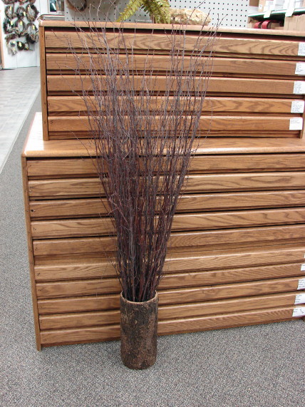 Natural Red White Birch Twigs 3-4 Foot Branches Floor Vase Tall Branch, Moose-R-Us.Com Log Cabin Decor
