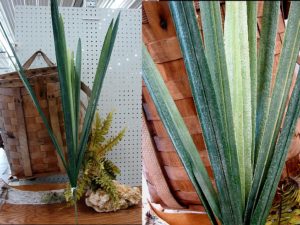 Giant 3 Toned Succulent Blade Porch Planter Tree Accent