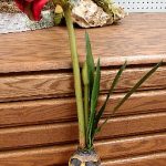 Silk Amaryllis Bulb Velvet Red Very Realistic Flowering Bulb Artificial