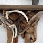 Rustic Driftwood Real Deer Antler Wall Shelf - Image 3