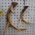 Detailed Miniature Moose Palm and Deer Antler Ornament - Image 7