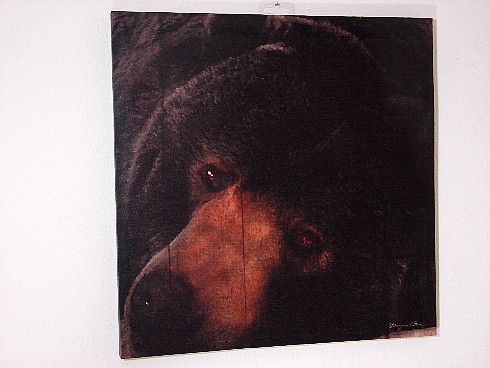Canvas Black Bear Picture Face Close-up Lodge Theme Wall Art, Moose-R-Us.Com Log Cabin Decor
