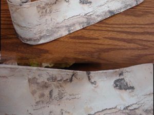 Realistic Birch Bark Ribbon Garland Wired 3" x 7'