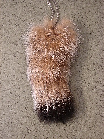 Real Canadian Lynx Tail Taxidermy Craft Supplies, Moose-R-Us.Com Log Cabin Decor