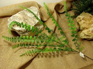 Realistic Button Spike Fern Pick Spring Greenery Filler