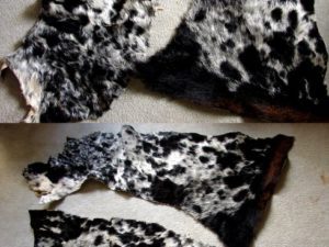 Genuine Fur on Leather Black White Calf Hide Craft Pillow