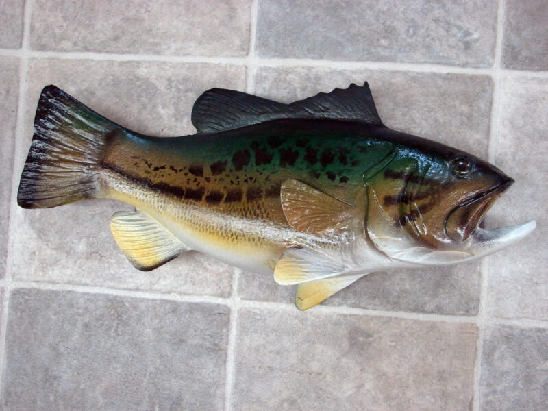 Casey Edward  Wood Carved Hand Painted Bass Replica Trophy Fish, Moose-R-Us.Com Log Cabin Decor