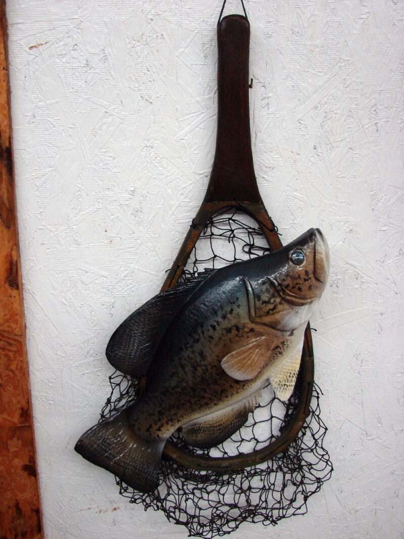 Casey Edwards Hand Carved Wood Panfish Trophy Crappie in Fishing Net, Moose-R-Us.Com Log Cabin Decor