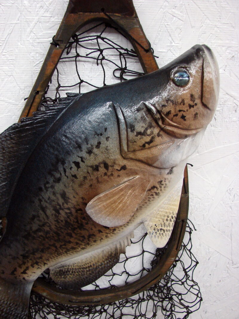 Casey Edwards Hand Carved Wood Panfish Trophy Crappie in Fishing Net, Moose-R-Us.Com Log Cabin Decor