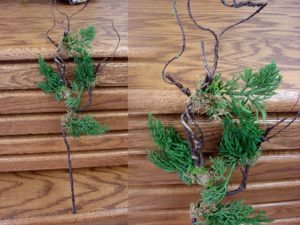Realistic Cypress Branch with Moss Wispy Arrangement