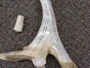 Real Deer Antler Cribbage Board Non Typical