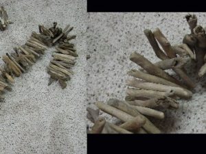 Beach Combed Driftwood Garland 3 Foot