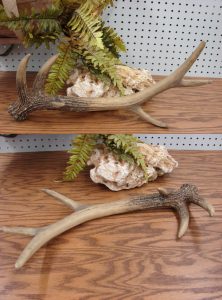 Resin Elk Antler Faux Fake Antler Detailed Rustic Craft - Moose-R-Us