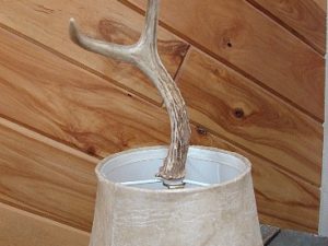 Real Elk Antler Carved Wood Postage Stamp Dispenser