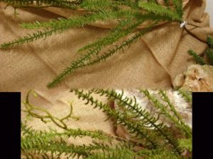 Flocked Sword Fern Spray Realistic Log Home Arrangement Filler