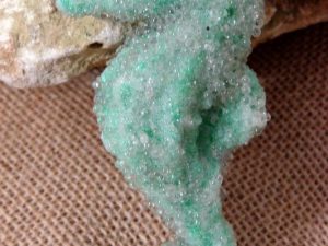Tropical Ornament Resin Seahorse