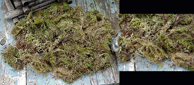 Natural Green Moss North Woods Arrangements Artificial Flowers, Moose-R-Us.Com Log Cabin Decor