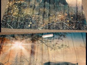 Jim Hansel Bear Sunset Shadow in the Mist Log Cabin Shower Curtain