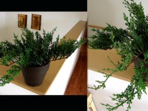 Realistic Juniper Shrub in Pot Evergreen Deck Porch Arrangement