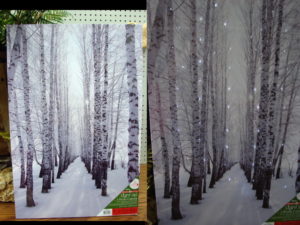 Gallery Wrapped Canvas LED Birch Tree Forest Path