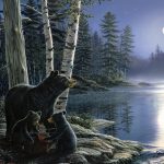Gallery Wrapped Canvas LED Artwork Moonlight Black Bears James Meger
