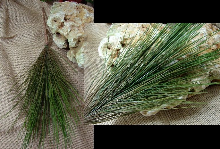 Long Needle Pine Bough Pick Realistic Log Cabin Decor