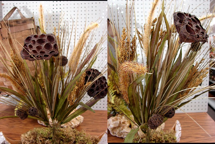 Naturals Lotus Wheat Grass Spray Pick, Moose-R-Us.Com Log Cabin Decor