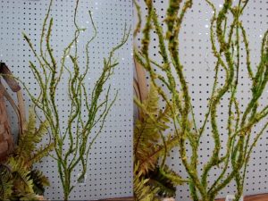 Very Realistic Silk Stem Moss Twig Bush