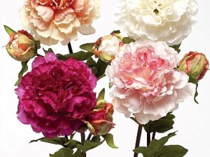 Very Realistic Silk Flower Old Fashion Garden Peony 4 Colors 22"