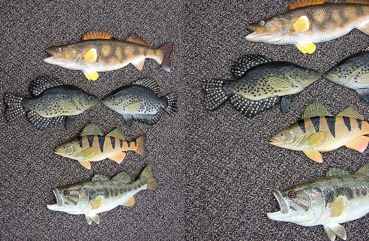 Philips Wall Fish Wood Carvings Trout Crappie Northern Perch, Moose-R-Us.Com Log Cabin Decor