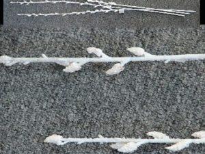 Winter Frost Covered Realistic Fake Pussy Willow Spray Set/3