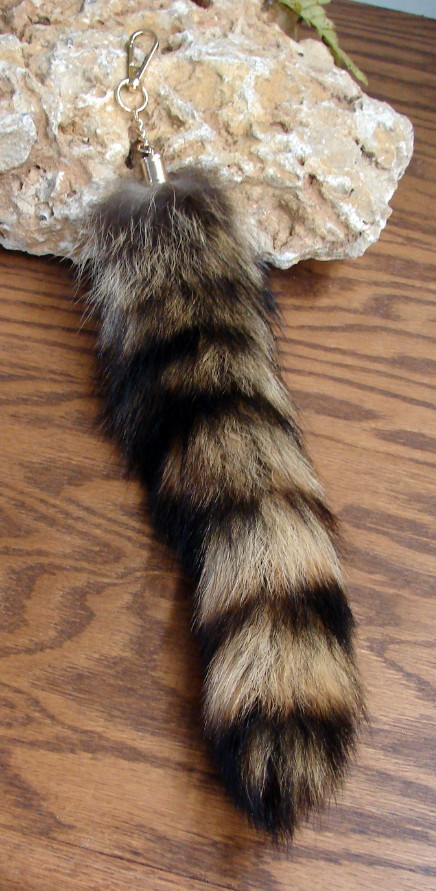 XL Tanned Raccoon Tail/Crafts/Real USA Fur Tail/Harley parts/Coon Tails/Cat Toys 