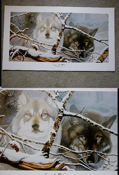 Daniel R Pierce Wolf Print Eyes in the Mist Artwork, Moose-R-Us.Com Log Cabin Decor
