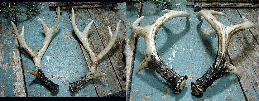 10 Pt Resin Deer Antlers Faux Fake Antler Detailed Rustic Craft - Moose
