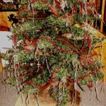 Long Needle Pinecone Swags Berry Teardrop Swag - Image 2