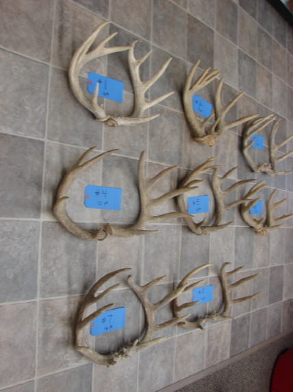 Huge Real Deer Antler Pairs Trophy Sheds Rustic Lodge Decor Handles, Moose-R-Us.Com Log Cabin Decor