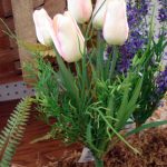Spring Flowers Blush Orange Mini Tulip Bush with Grass - Image 2