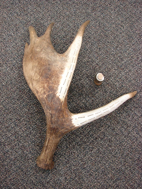 Antler Decor