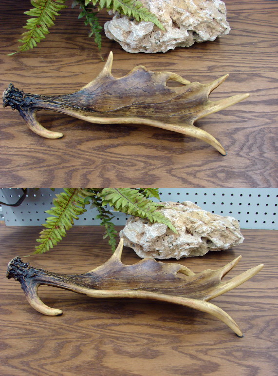 Detailed Moose Antler Deer Horn Centerpiece Bowl, Moose-R-Us.Com Log Cabin Decor
