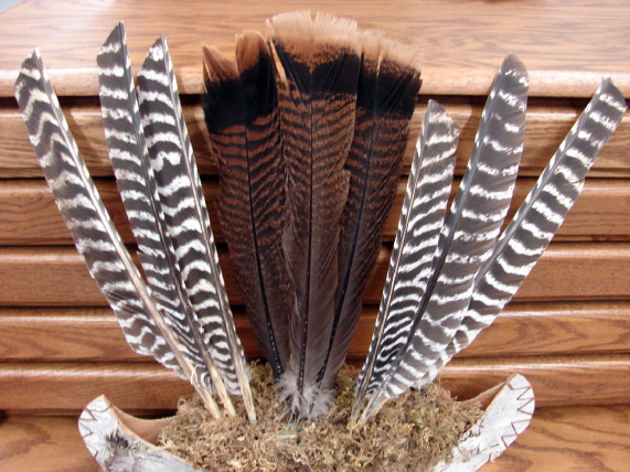 Real Turkey Wild Turkeys Feather Set/9 Northwoods Arrangements Crafts, Moose-R-Us.Com Log Cabin Decor