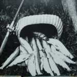 Vintage Fishing Themed Photographs Black and White Cabin Artwork, Moose-R-Us.Com Log Cabin Decor