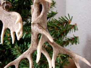 Detailed Miniature Moose Palm and Deer Antler Ornament