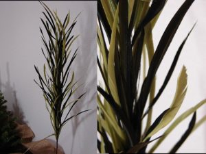 Biot Feather Floral Grass Pick Peacock Flue Feathers