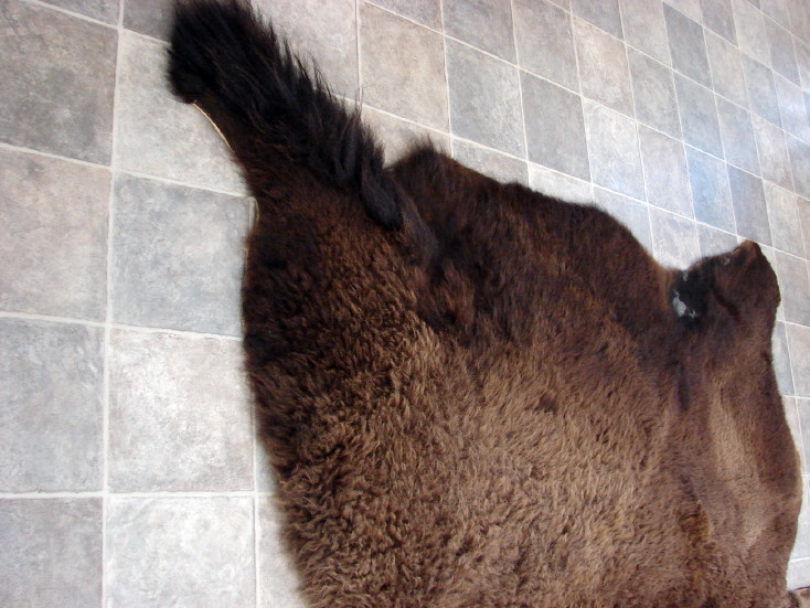 Huge Real Buffalo Rug Hide Taxidermy Tanned Fur Log