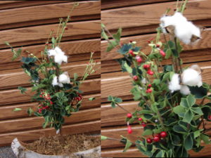 Real Cotton Boll Berry Realistic Greenery Bush