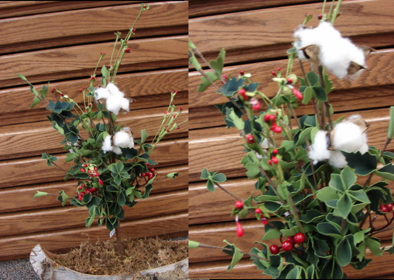 Real Cotton Boll Berry Realistic Greenery Bush, Moose-R-Us.Com Log Cabin Decor