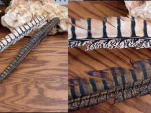 Faux 19" Feather Pick Lady Amherst Bronze Pheasant