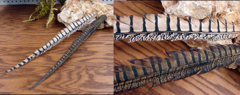 Faux 19&#8243; Feather Pick Lady Amherst Bronze Pheasant, Moose-R-Us.Com Log Cabin Decor
