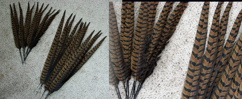 Artificial Ringneck Pheasant Feather Pick Faux Feathers Realistic, Moose-R-Us.Com Log Cabin Decor
